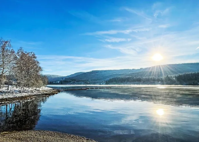 Wartbuck By Interhome Brenden